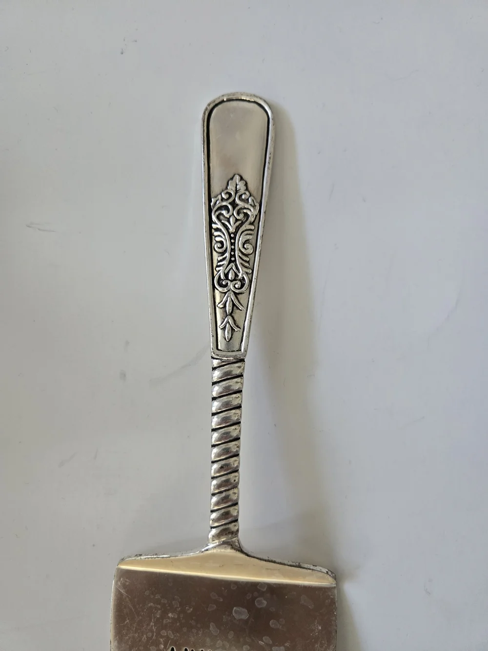 Silver Cake Server - Any Way You Slice It
